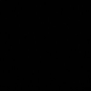 Meet your Posher, Shilah